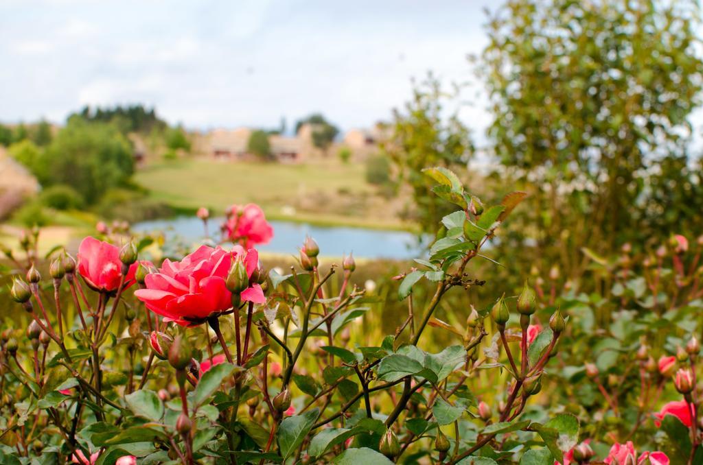Gooderson Kloppenheim Country Estate Hotel Machadodorp Екстериор снимка